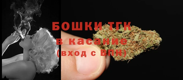 дурь Горняк