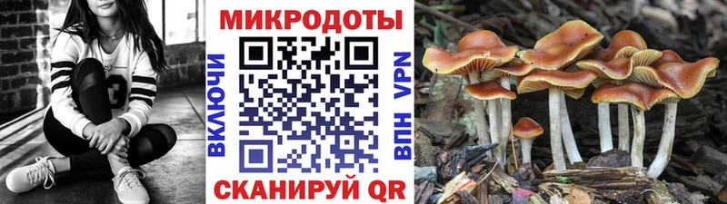 Галлюциногенные грибы Cubensis  Купить закладки  Радужный 